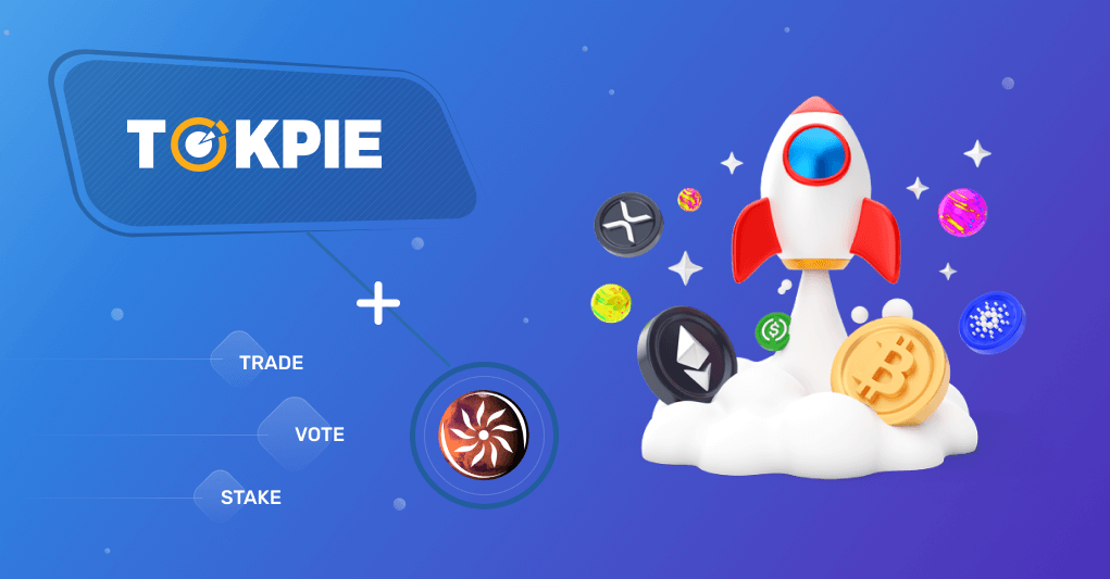 PLY_tokens_trade_vote_tokpie.png